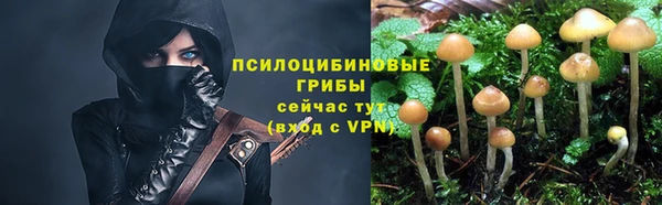 apvp Абдулино