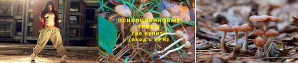 apvp Абдулино
