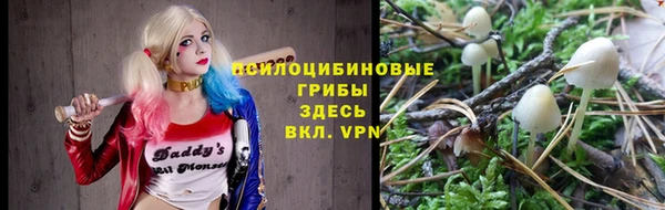 apvp Абдулино