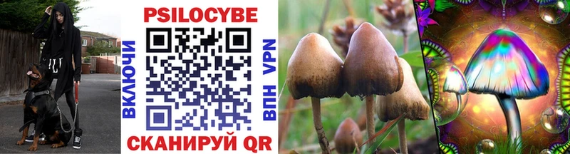 Псилоцибиновые грибы Psilocybine cubensis  Ряжск 